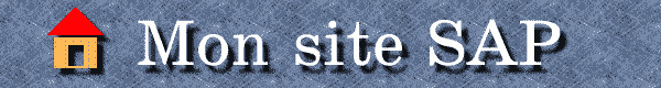 Mon Site SAP - Accueil